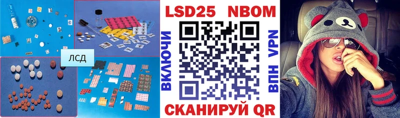 блэк спрут как зайти  Новочеркасск  shop формула  LSD-25 экстази кислота 