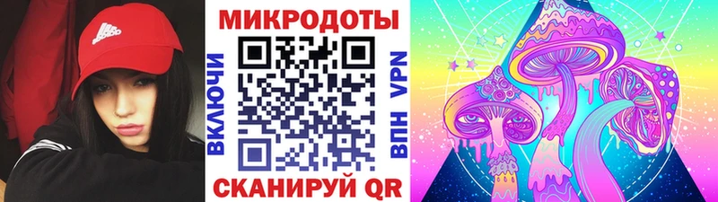Галлюциногенные грибы Magic Shrooms  где купить наркоту  kraken ONION  Новочеркасск 